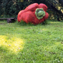 Paprika2